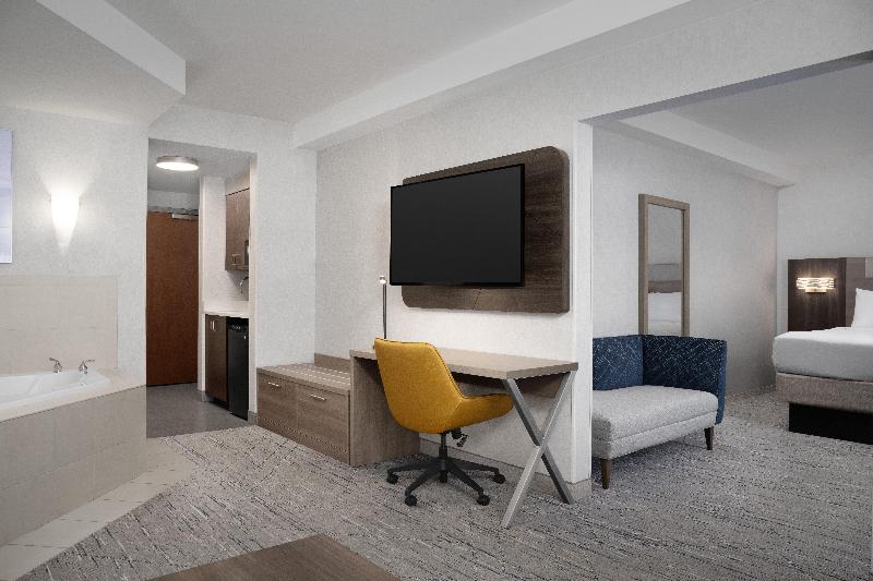 스탠다드 룸 킹사이즈 침대, Holiday Inn Express & Suites Alexandria   Fort Belvoir, An Ihg
