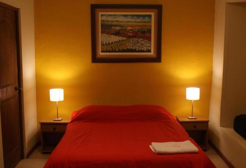 스탠다드 싱글 룸, Flying Dog Hostel Arequipa