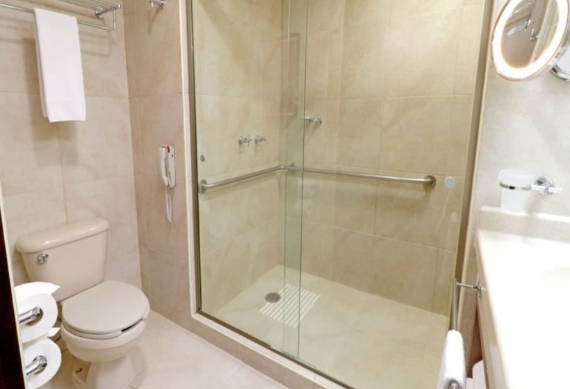 Quarto Estandar 2 Camas Casal, Holiday Inn Hotel & Suites Medica Sur By Ihg