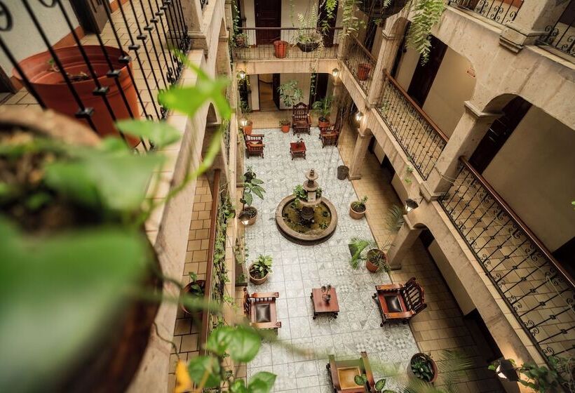 اتاق استاندارد, Don Quijote Plaza  Guadalajara Centro Historico