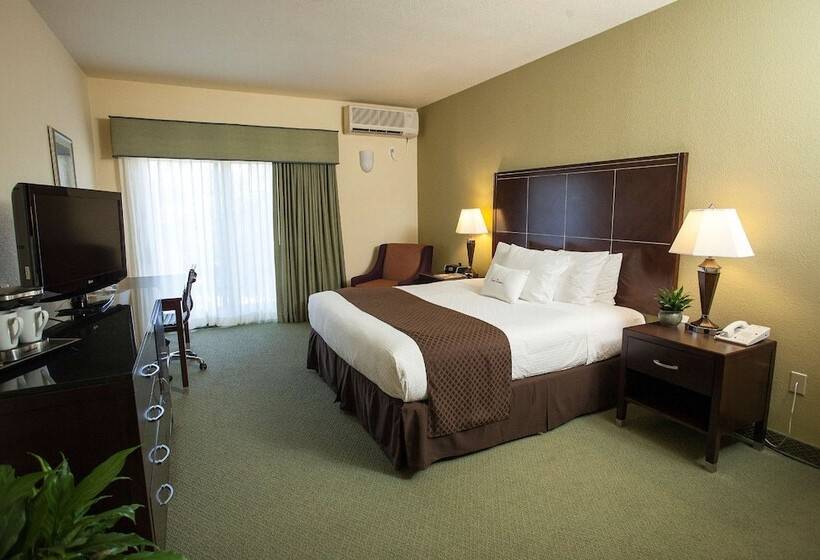 标准间, Doubletree By Hilton Napa Valley American Canyon