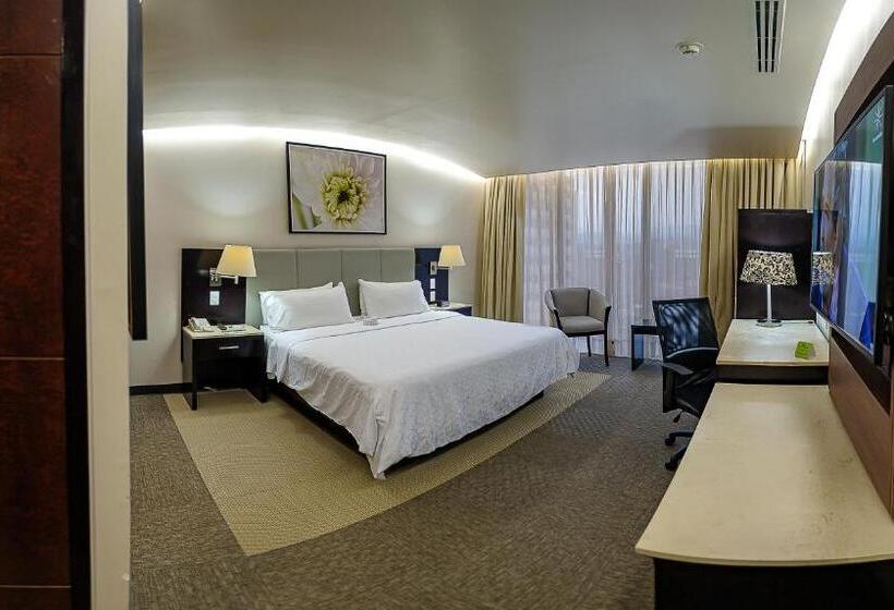 Quarto Estandar Cama King para Deficientes Físicos, Holiday Inn Hotel & Suites Medica Sur By Ihg