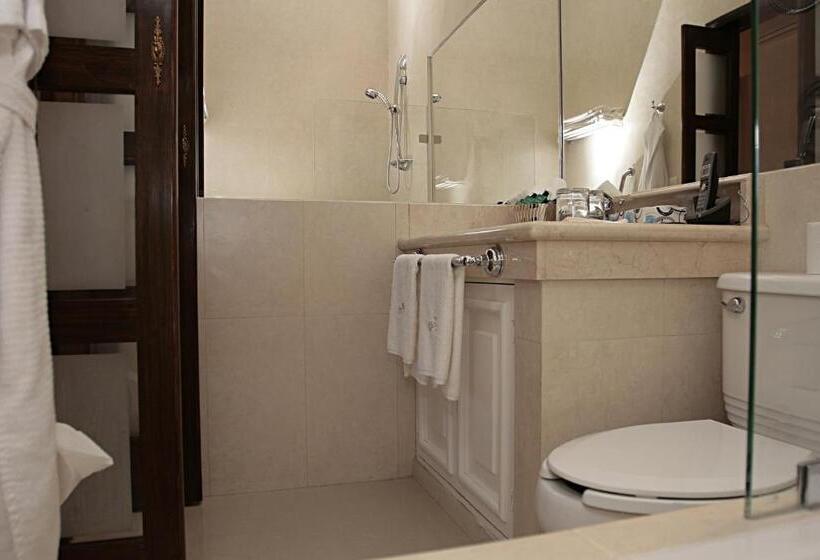 اتاق استاندارد با تخت بزرگ, Palacio Borghese Hotel Boutique   Adults Only