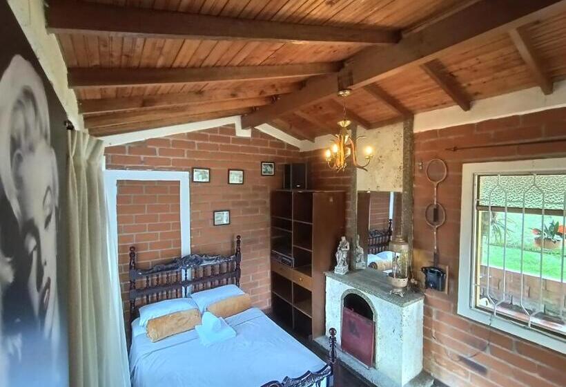 스탠다드 룸, Biohotel Ecohouse