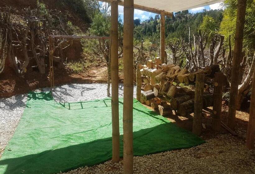 스탠다드 룸, Biohotel Ecohouse