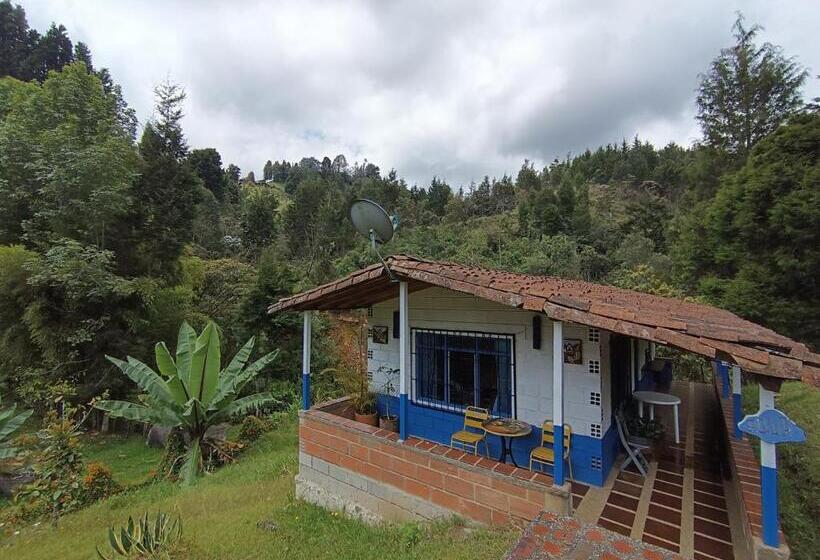 샬레, Biohotel Ecohouse