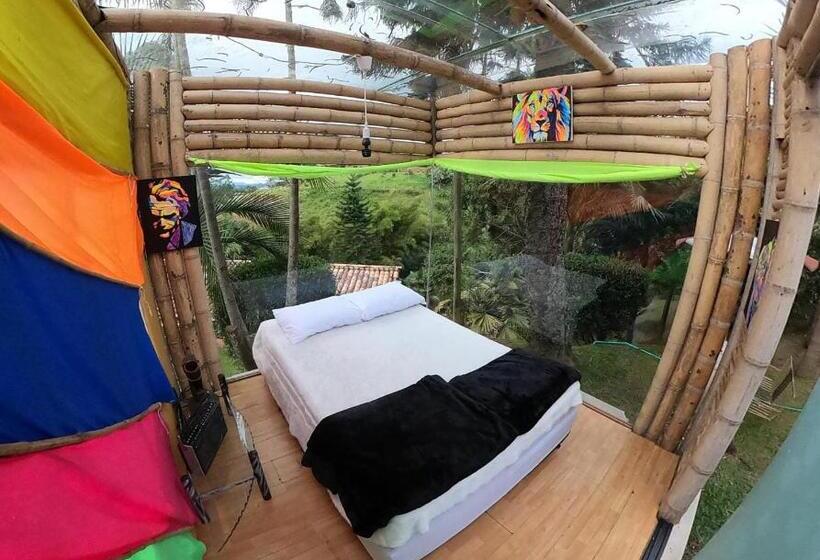 스탠다드 방갈로 정원 전망, Biohotel Ecohouse