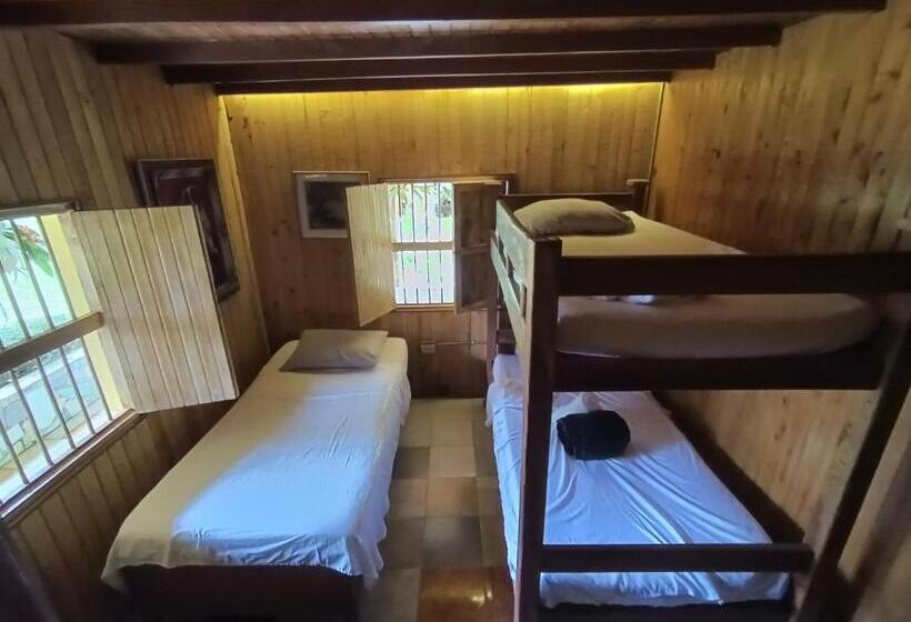 패밀리 룸, Biohotel Ecohouse
