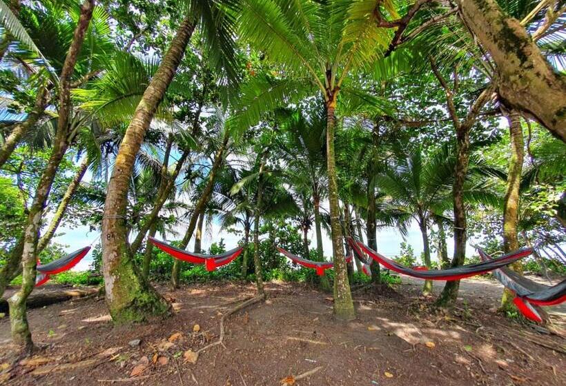 스탠다드 룸, Caribbean View House