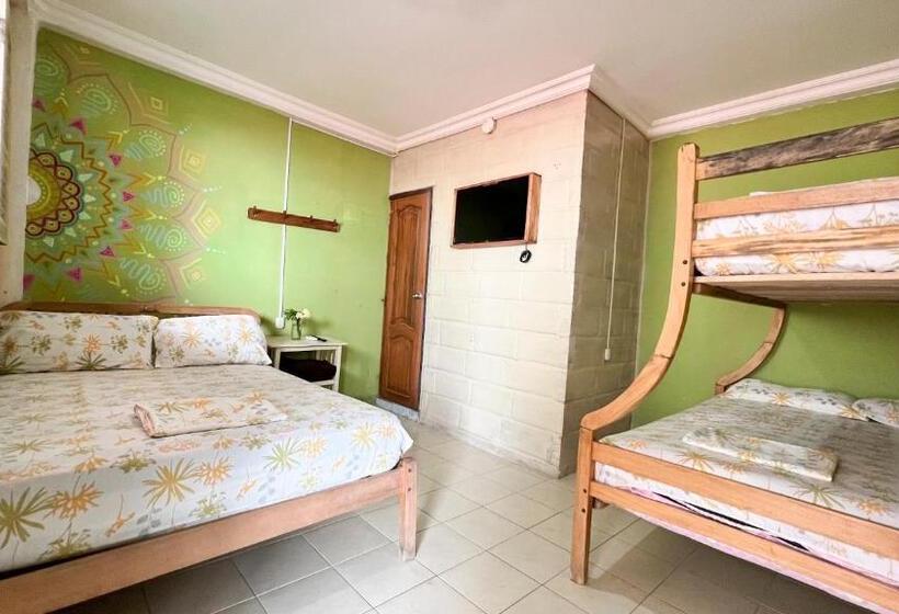 اتاق استاندارد چهار تخته, Arrecife Montañita Hostal