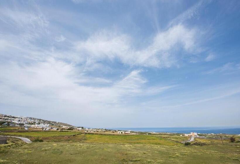 اتاق استاندارد سه نفره, Olympia
