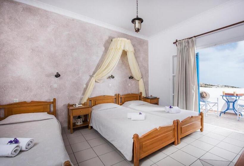 اتاق استاندارد چهار تخته, Olympia