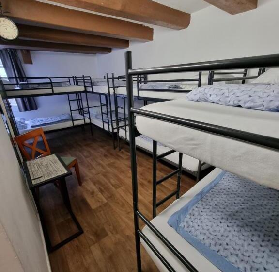 تختخواب در اتاق مشترک, International Budget Hostel City Center