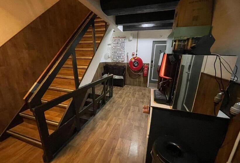 تختخواب در اتاق مشترک, International Budget Hostel City Center
