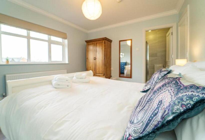 Quarto Estandar, Five Ferns House