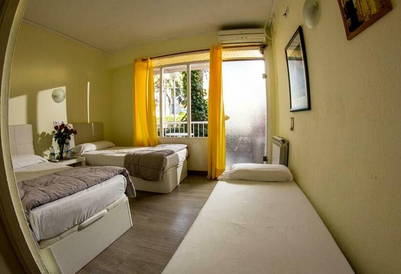 اتاق استاندارد, Hostal Alce