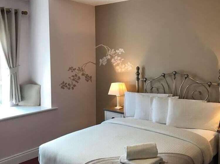 اتاق سوپریور, Rowan Tree Hostel