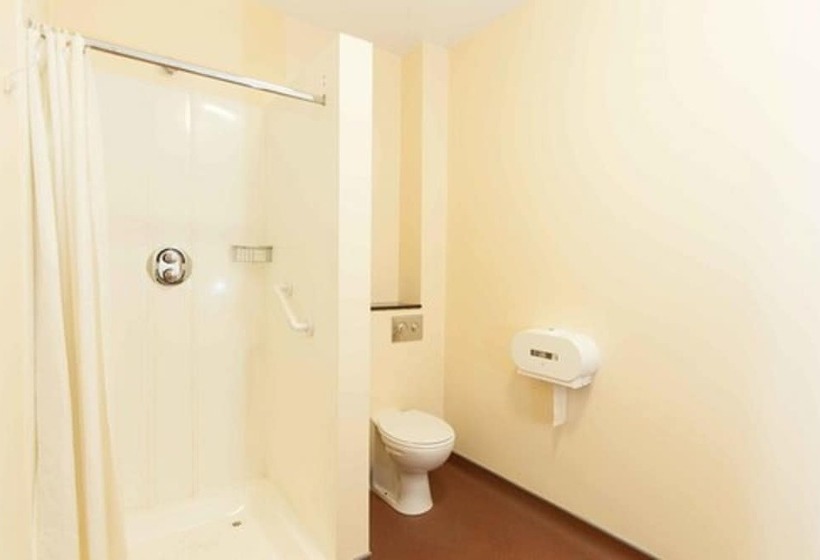 اتاق استاندارد, Rowan Tree Hostel