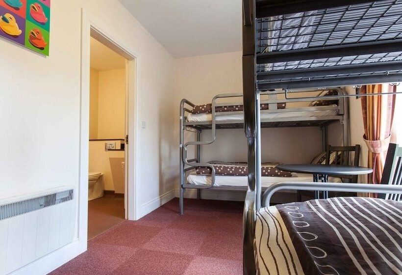 اتاق سوپریور, Rowan Tree Hostel