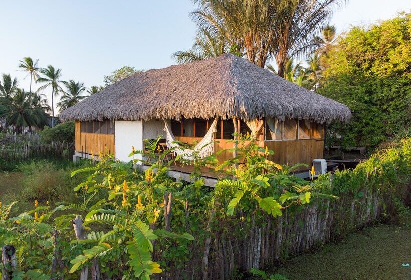 디럭스 방갈로, Vila Do Junco