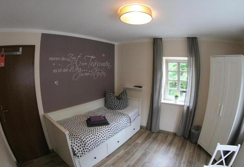 اتاق استاندارد با سرویس بهداشتی مشترک, Altstadt Pension Herborn