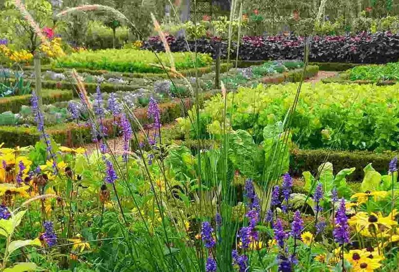Студио Стандарт Вид на Сад, Une Maison, Un Jardin