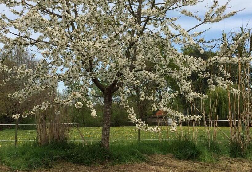 Люкс Вид на Сад, Une Maison, Un Jardin