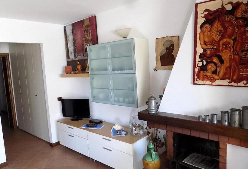 استودیوی استاندارد, Casa Nuccia Gentili David