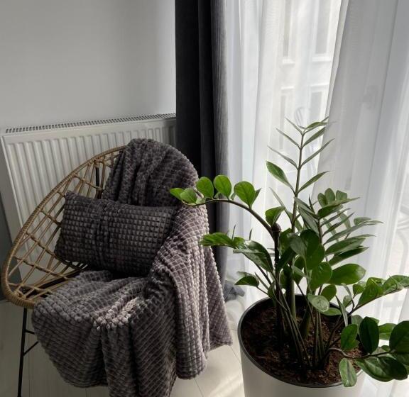 스탠다드 테라스 룸, Citadella House Targu Mures