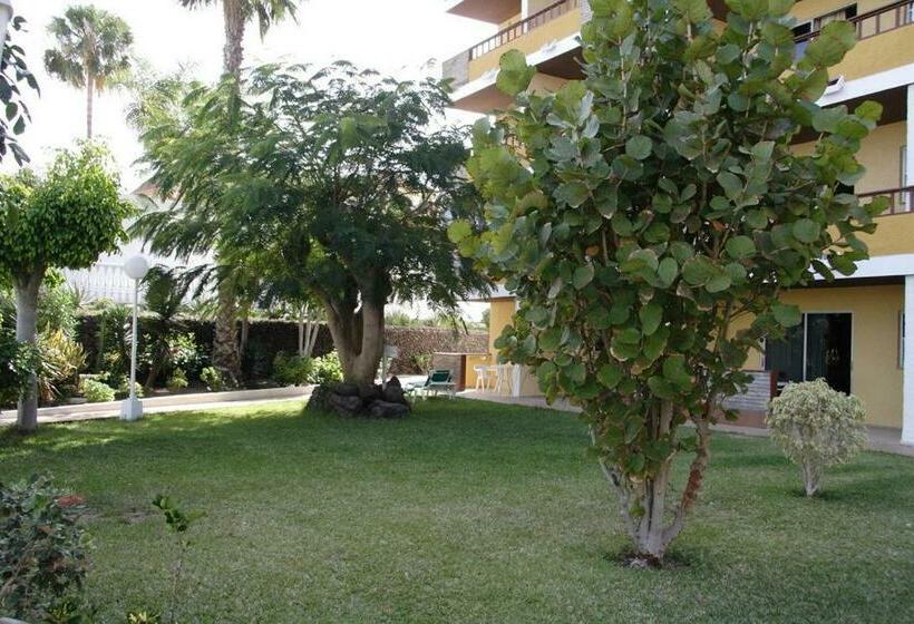 １ベッドルームアパートメント, Apartamentos Los Tilos