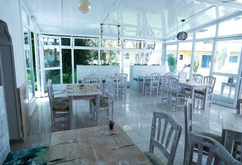 １ベッドルームアパートメント, Apartamentos Los Tilos