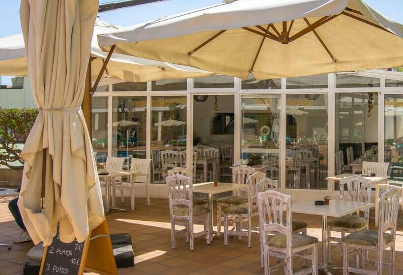 １ベッドルームアパートメント, Apartamentos Los Tilos