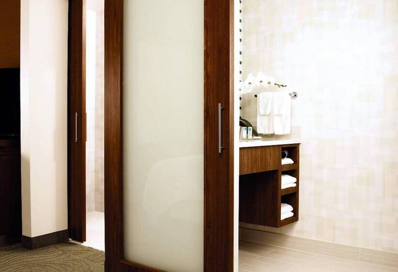 Studio Standard, Springhill Suites Houston Intercontinental Airport