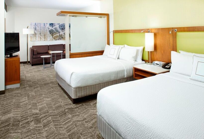 Studio Standard, Springhill Suites Houston Intercontinental Airport