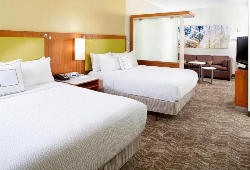 Studio Standard, Springhill Suites Houston Intercontinental Airport