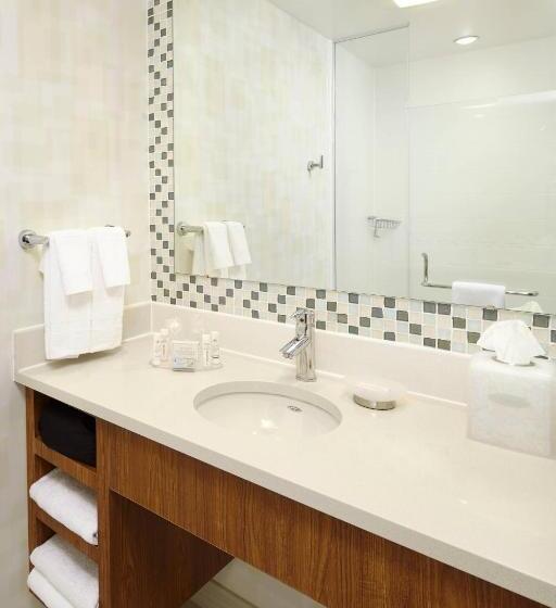 Studio Deluxe, Springhill Suites Houston Intercontinental Airport
