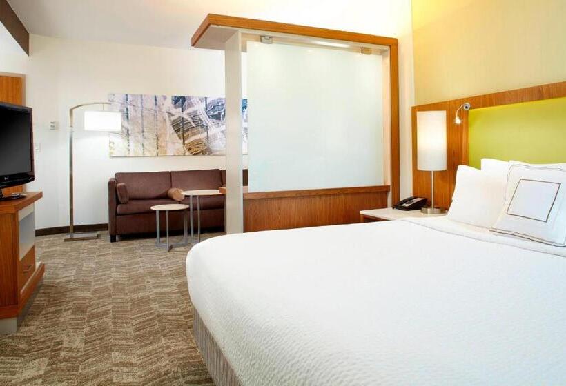 Standard Studio King Bed, Springhill Suites Houston Intercontinental Airport