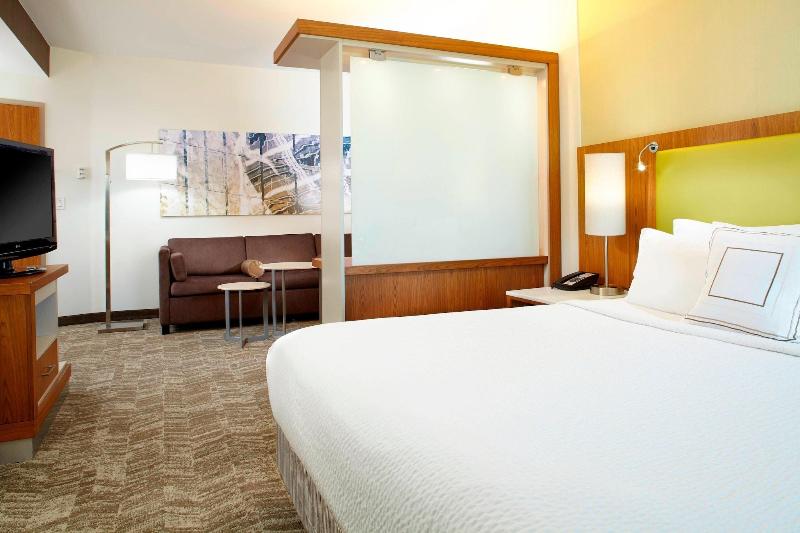 Standard Studio King Bed, Springhill Suites Houston Intercontinental Airport