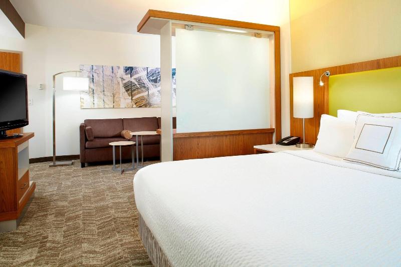 Standard Studio King Bed, Springhill Suites Houston Intercontinental Airport