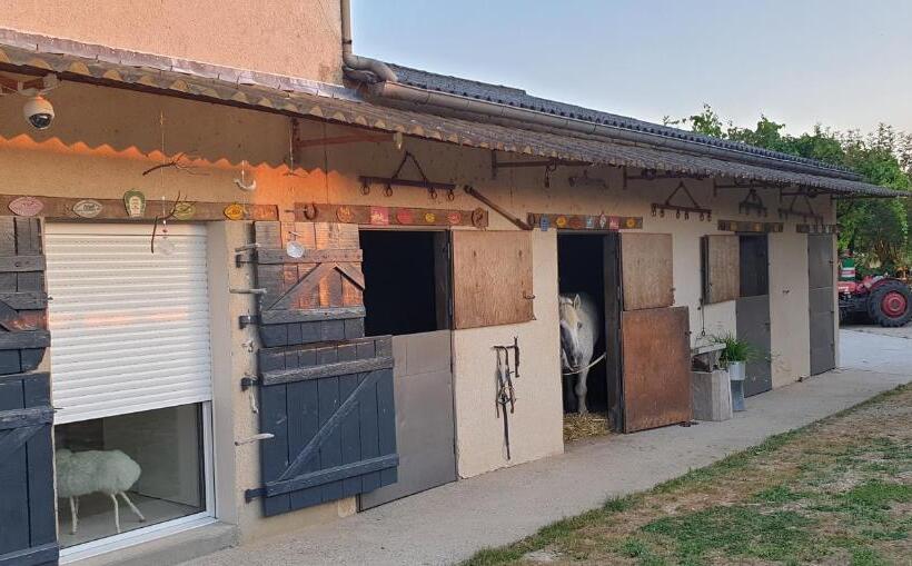 Номер Стандарт, Les Box Chambre D Hôtes