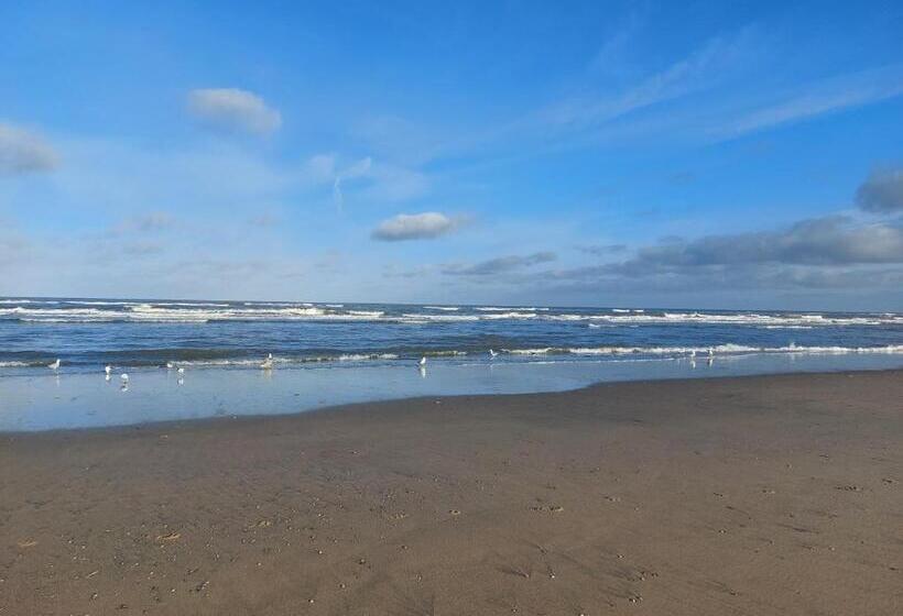استودیوی استاندارد با چشم‌انداز دریا, Rembrandts Beach View
