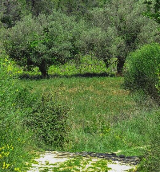 Люкс Вид на Сад, La Bastide De Canaules