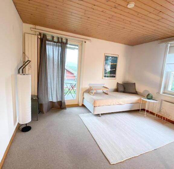 Апартаменты 1 Спальня, Neb Thun Lodge`s Appartement 1 Hilterfingen Ringstrasse 6