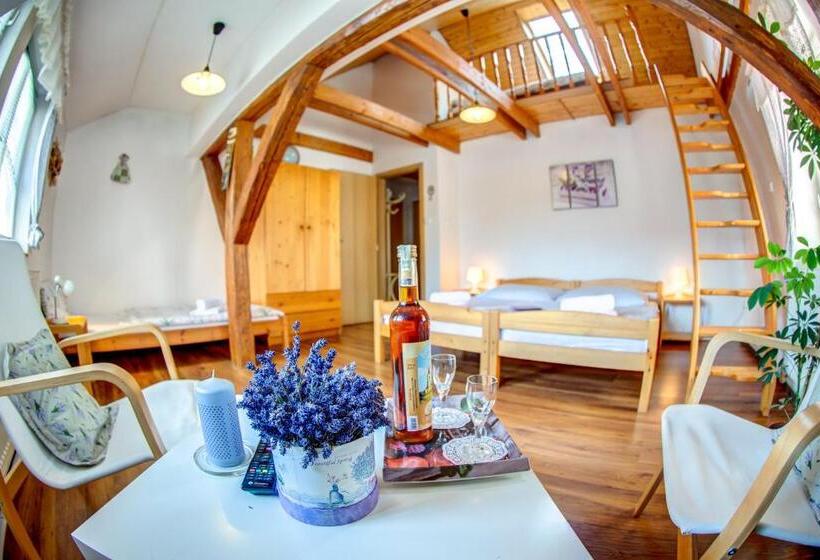 Семейные Апартаменты, Penzion Petra