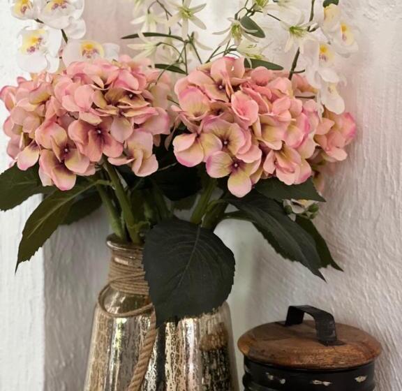 شقة غرفتين, Il Settimo Borgo Bed&breakfast é Appartementi