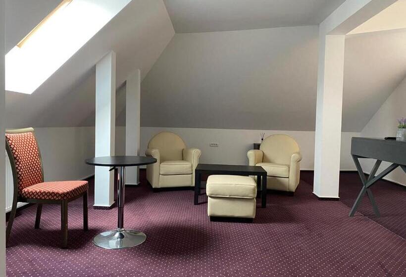 اتاق استاندارد با تخت بزرگ, Urban 7 Residence