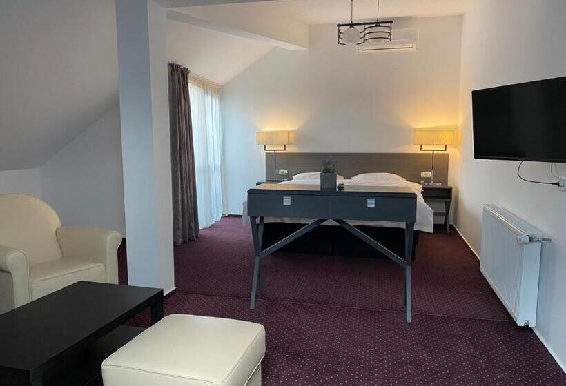 اتاق استاندارد با تخت بزرگ, Urban 7 Residence