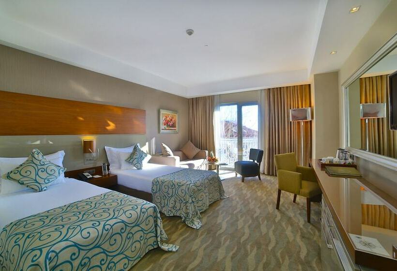 اتاق لوکس یک تخته, Innova Sultanahmet Istanbul