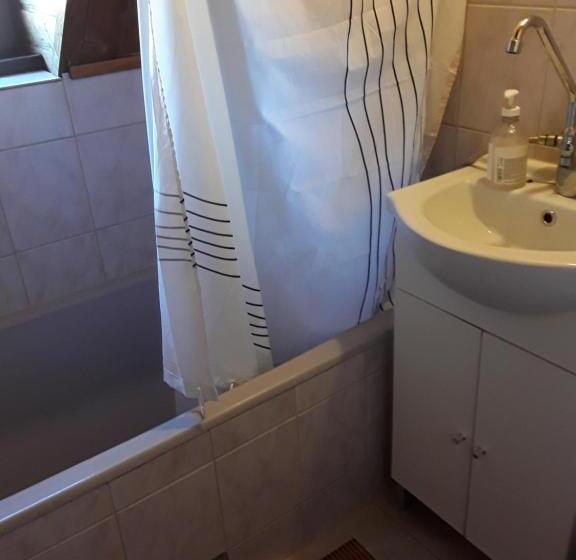 اتاق خانوادگی با سرویس بهداشتی مشترک, Tunnel Family Apartmanház Pécs