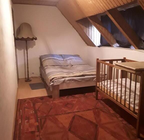 اتاق خانوادگی با سرویس بهداشتی مشترک, Tunnel Family Apartmanház Pécs
